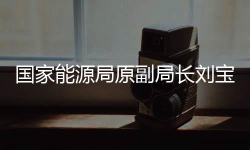 人大代表、助理巡视员