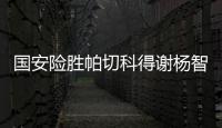快排公司十年历程，霸屏兔 seo 的崛起与坚守
