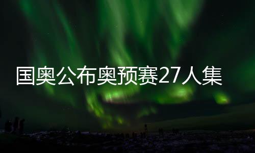 奥预将回国加盟北京国安