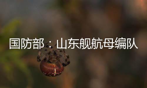 国防国防部今天举行发布会