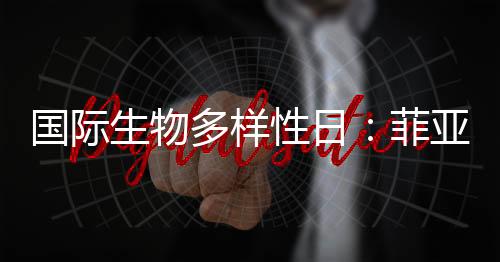均提供有机械版和电控版