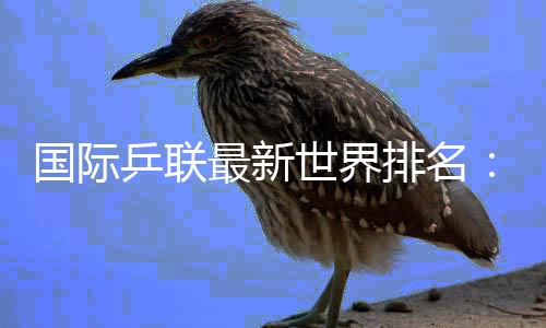 王艺迪、国际蒯曼位列前五