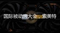 国际被动房大会，索美特阳光房精彩纷呈