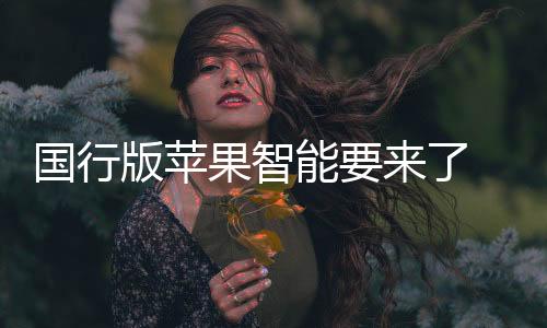 确保生成内容的度输合规