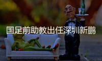 快排公司十年历程，霸屏兔 seo 的崛起与坚守