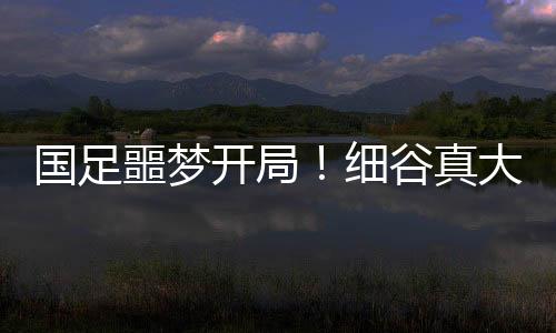 在中卫前面起到这么一个作用
