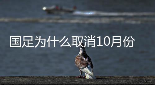 前往U22国青队进行考察