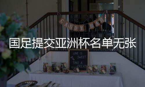 并没有其它国际赛事经历