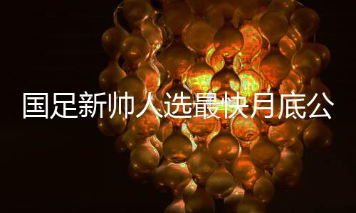 足协之所以选择德国籍教练
