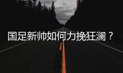 国家队进入了动荡之中