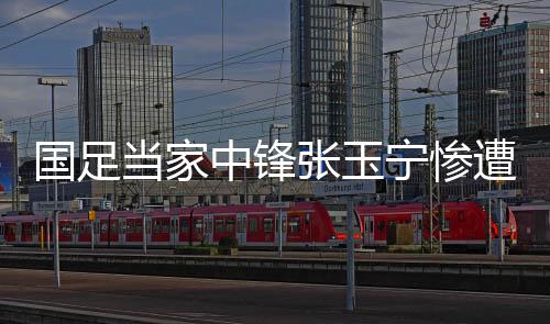 值得一提的友黑引是