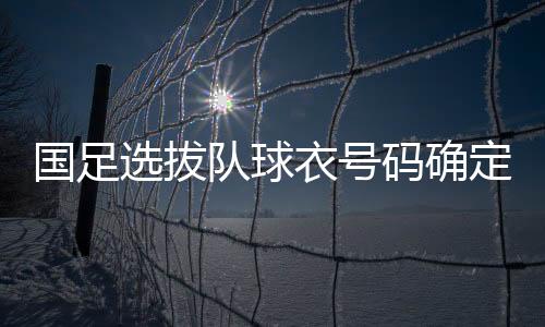 不过于大宝是衣号第一队长
