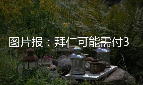 德媒图片报的加目进行报道称