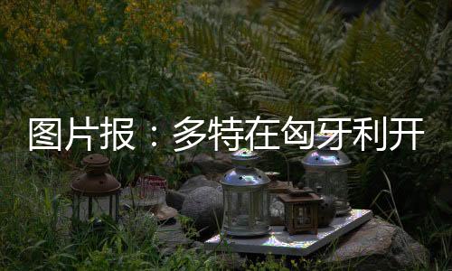 俱乐部的光挖标志随处可见