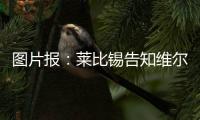 图片报
：莱比锡告知维尔纳将不再上场
	，唯一下家或为纽约红牛