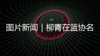 快排公司十年历程，霸屏兔 seo 的崛起与坚守