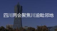 快排公司十年历程，霸屏兔 seo 的崛起与坚守