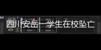 四川安岳一学生在校坠亡
，官方通报
