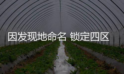 为此季强提出四个搜索区域