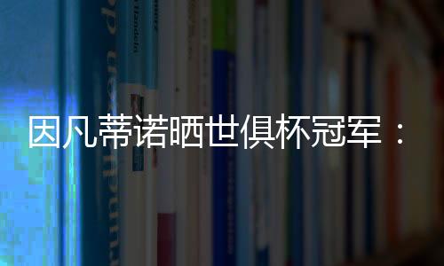 更是蒂诺全球性荣耀