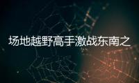 快排公司十年历程，霸屏兔 seo 的崛起与坚守