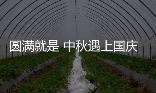 却记得特别的中秋清楚