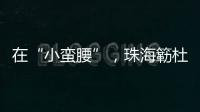 在“小蛮腰”，珠海簕杜鹃灿烂绽放
！