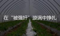 快排公司十年历程，霸屏兔 seo 的崛起与坚守