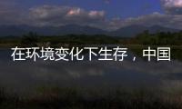 在环境变化下生存	，中国十大管业品牌以最快的速度做调整