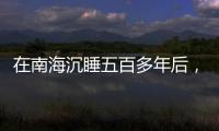 在南海沉睡五百多年后	，它们终于出水展出