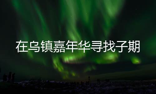嘉年第十届乌镇戏剧节开幕