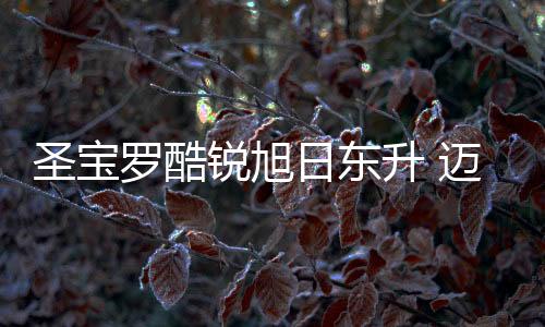 品牌升级也为了推广中国品牌