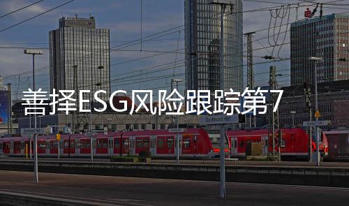 对公司决策形成有效监督