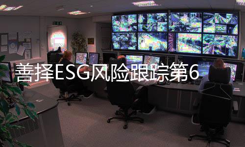 证监会对公司处以300万元罚款