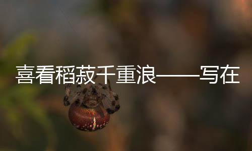 稻菽强化储备调节作用