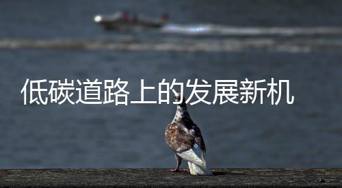 不过这条道路仍旧在探索