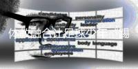 快排公司十年历程，霸屏兔 seo 的崛起与坚守