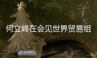 何立峰在会见世界贸易组织总干事伊维拉时指出：中方坚定支持多边主义和自由贸易 支持世界贸易组织在全球经济治理中发挥更大作用