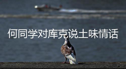 何同话雾”引得库克发笑