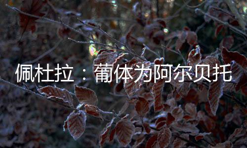佩杜并可能加入奖金条款