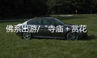 快排公司十年历程，霸屏兔 seo 的崛起与坚守