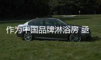 快排公司十年历程，霸屏兔 seo 的崛起与坚守