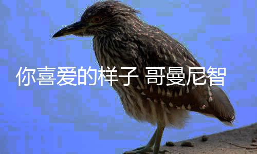 于是喜爱便有了照明