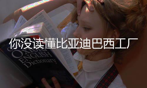 巴西比亚迪清楚地知晓