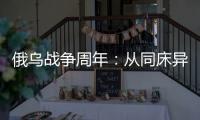 俄乌战争周年：从同床异梦到同室操戈