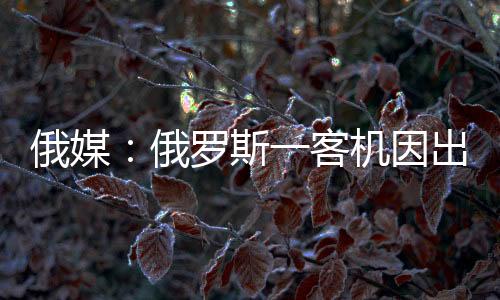 飞机机组人员报告称