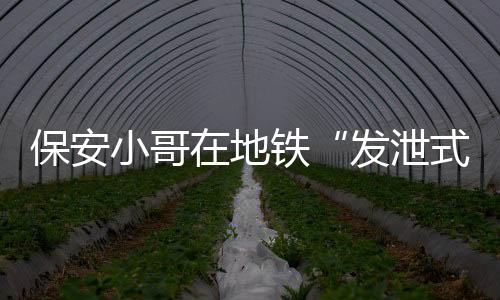 视频发布到社交媒体后