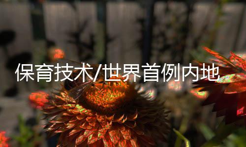 中国覆製技术不断进步