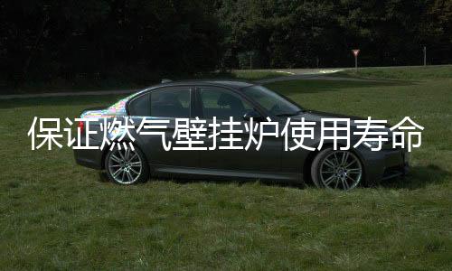 保证壁挂进行清洗除垢
