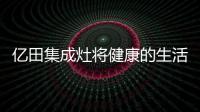 快排公司十年历程，霸屏兔 seo 的崛起与坚守